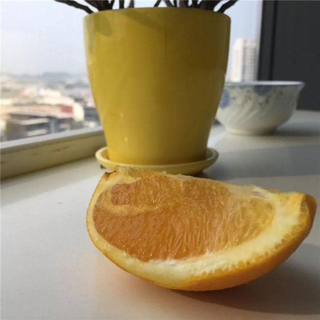 廣東博皓發臍橙啦！  -7