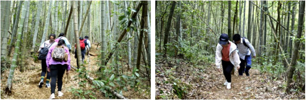 博行天下俱樂部走進(jìn)從化十登的第二峰-雞枕山 -6