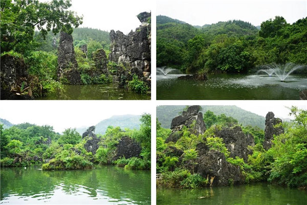 多彩貴州,魅力天下,2021年廣東博皓快樂貴州行-5