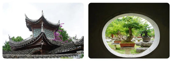 多彩貴州,魅力天下,2021年廣東博皓快樂貴州行-14