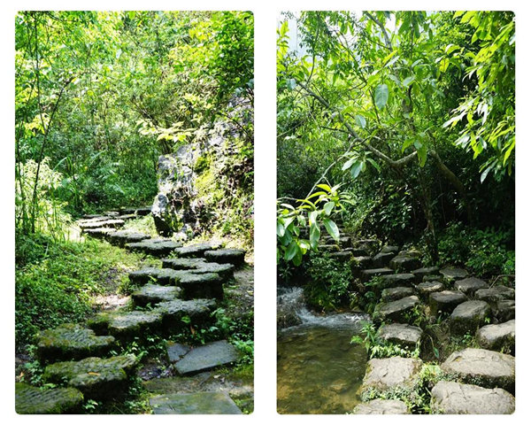 賞華夏大地,游多彩貴州--2021年廣東博皓快樂行-3